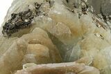 Bladed Barite Cluster On Limonite - Morocco #222906-3